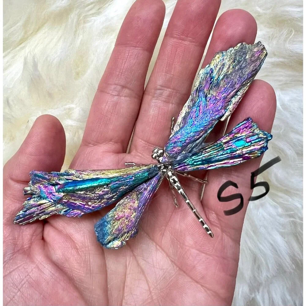 Titanium AURA Coated Black TOURMALINE Dragonfly! - Picture 3 of 8